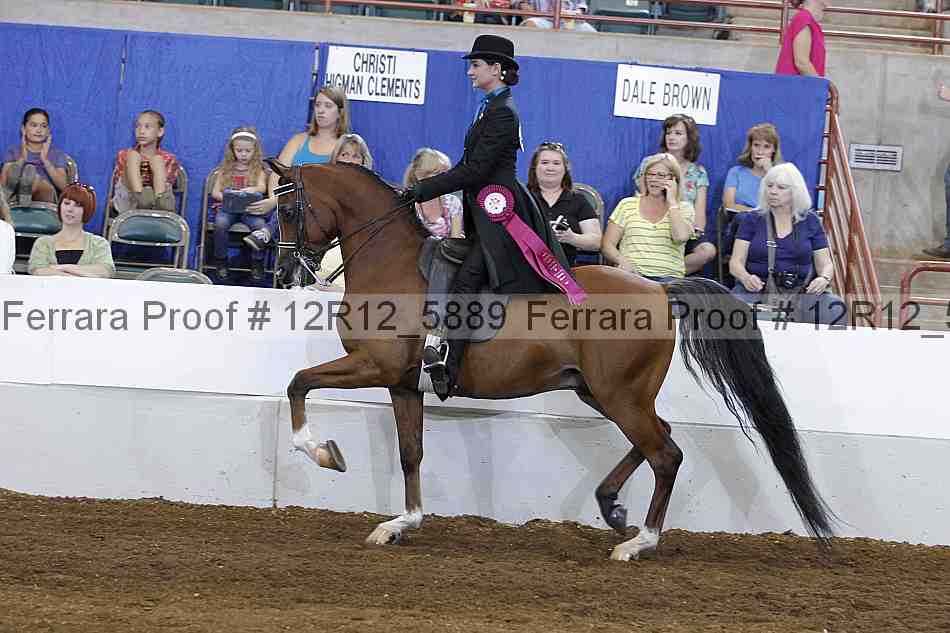Proof Number 12r12_5889