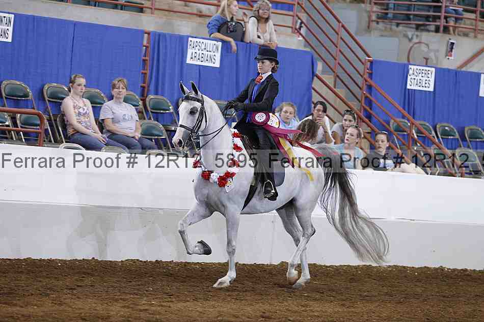 Proof Number 12r12_5895