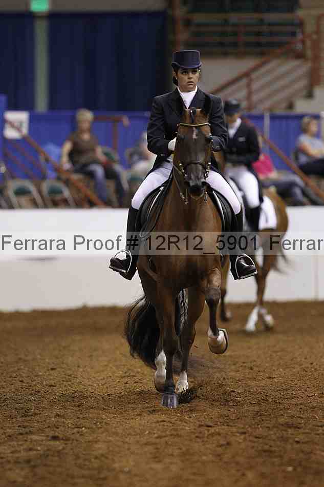 Proof Number 12r12_5901