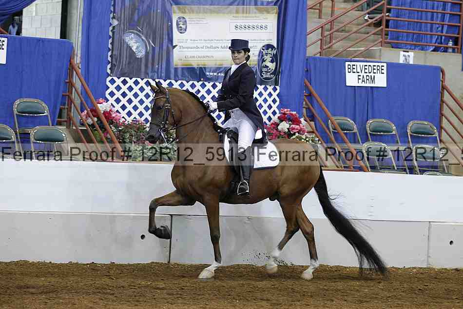 Proof Number 12r12_5913