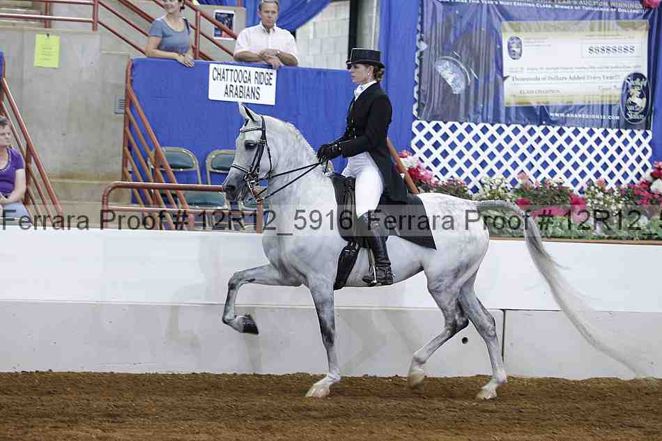 Proof Number 12r12_5916