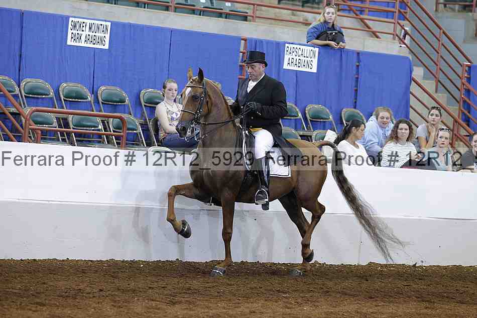 Proof Number 12r12_5929