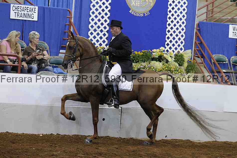 Proof Number 12r12_5930