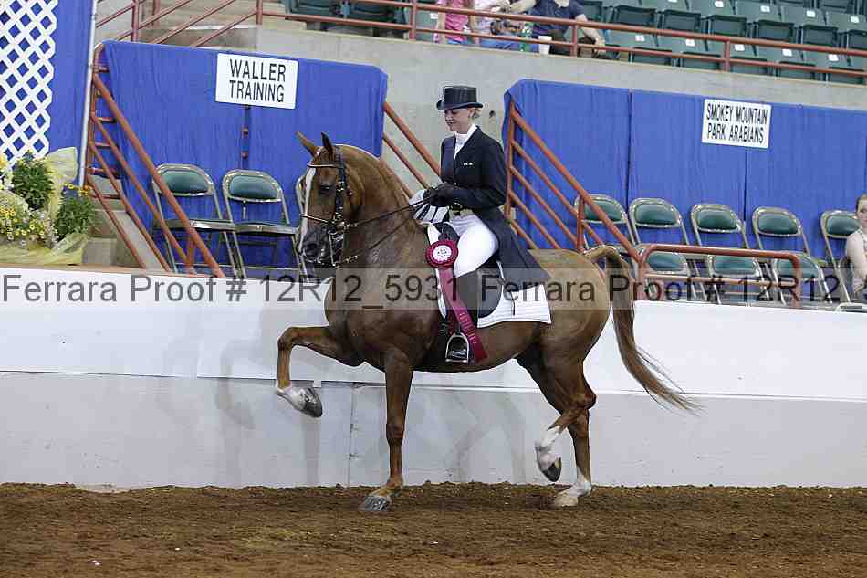 Proof Number 12r12_5931