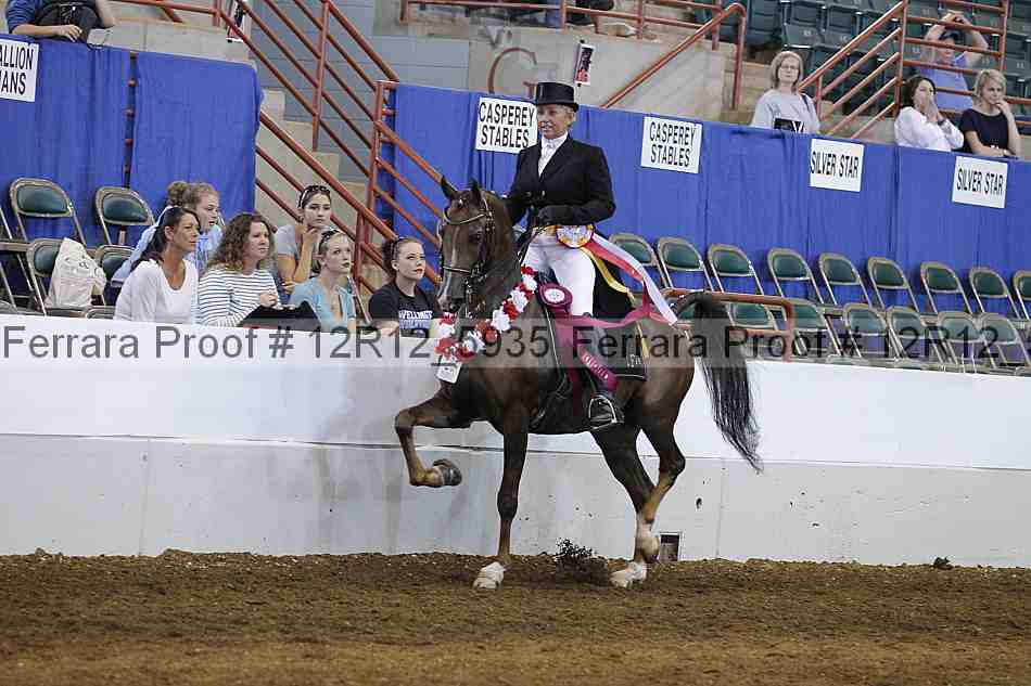 Proof Number 12r12_5935