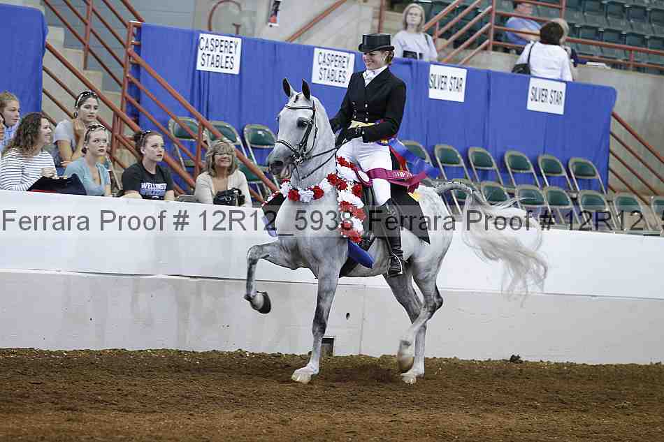 Proof Number 12r12_5938
