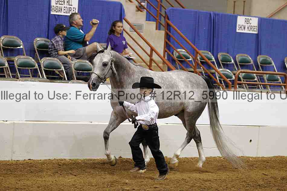 Proof Number 12r12_5990