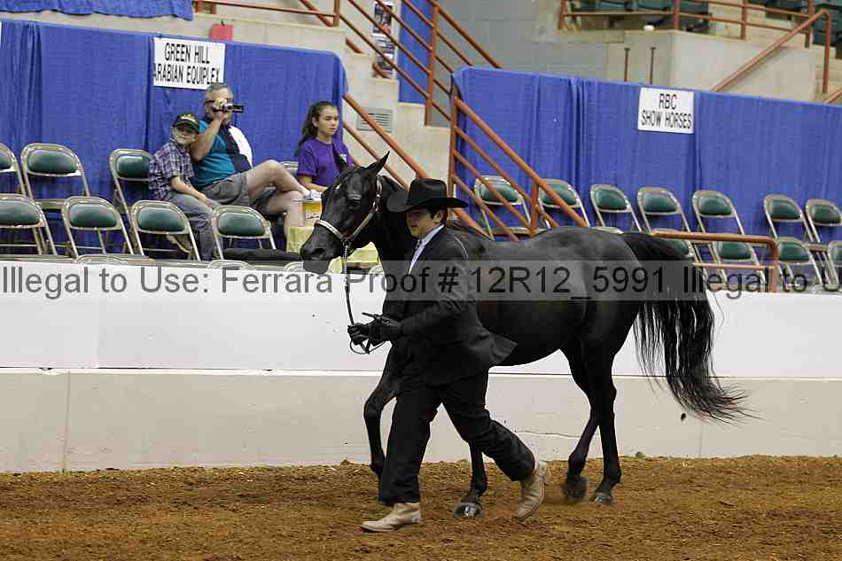 Proof Number 12r12_5991