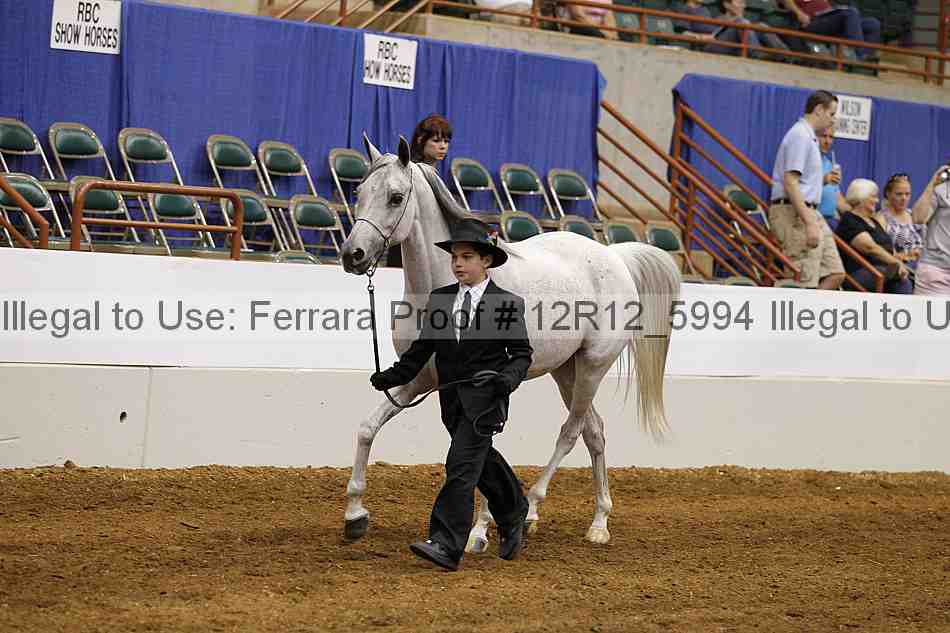 Proof Number 12r12_5994