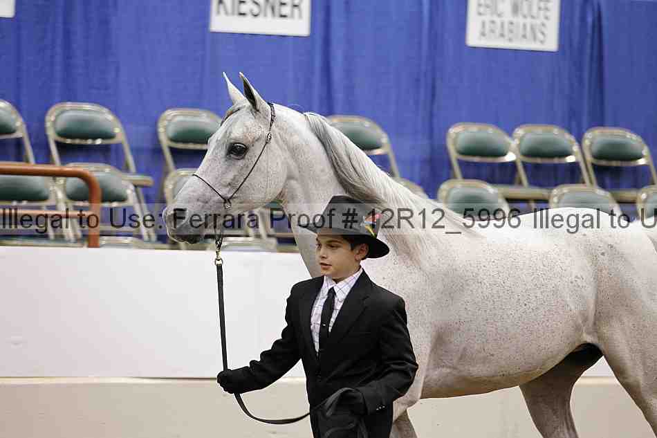 Proof Number 12r12_5996