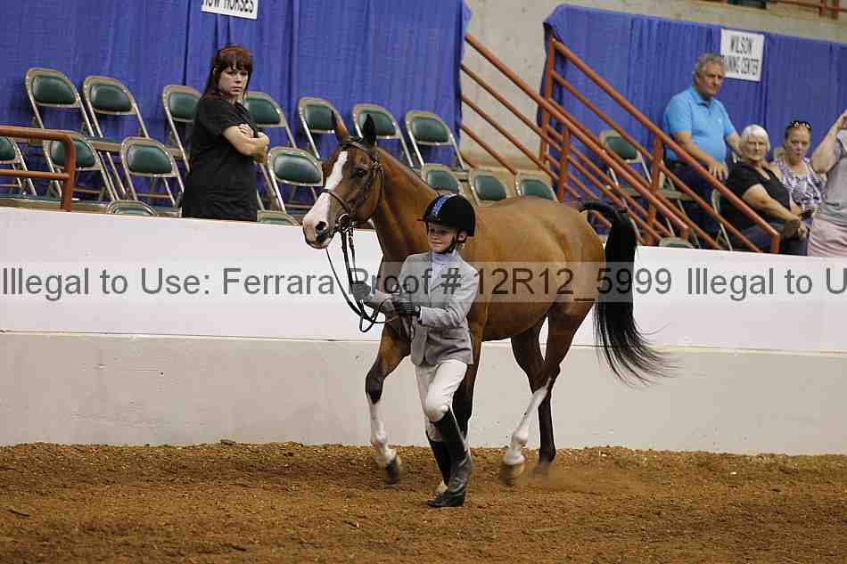 Proof Number 12r12_5999