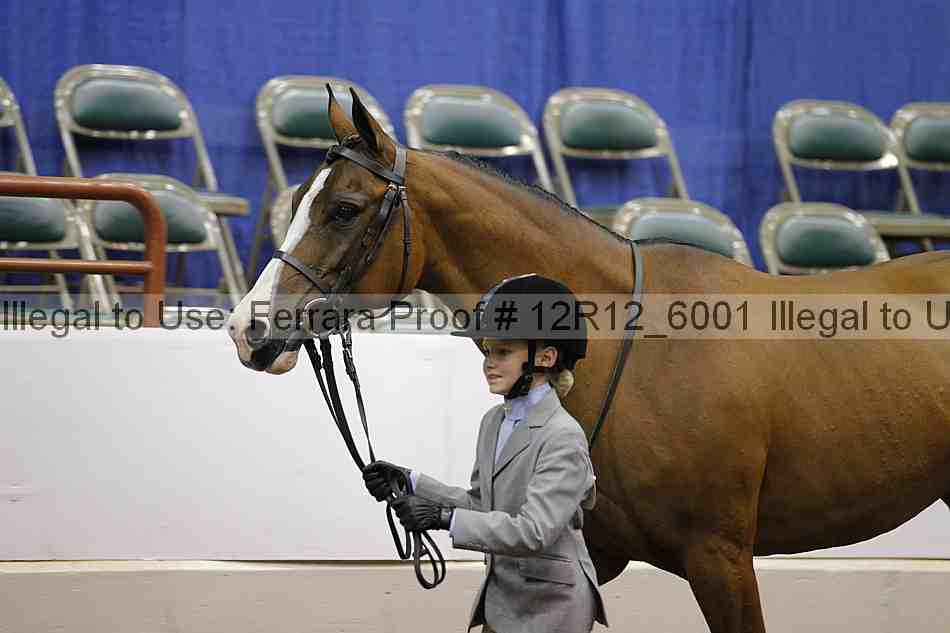 Proof Number 12r12_6001