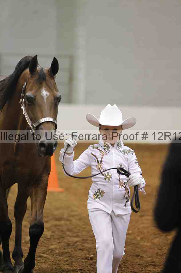 Proof Number 12r12_6002