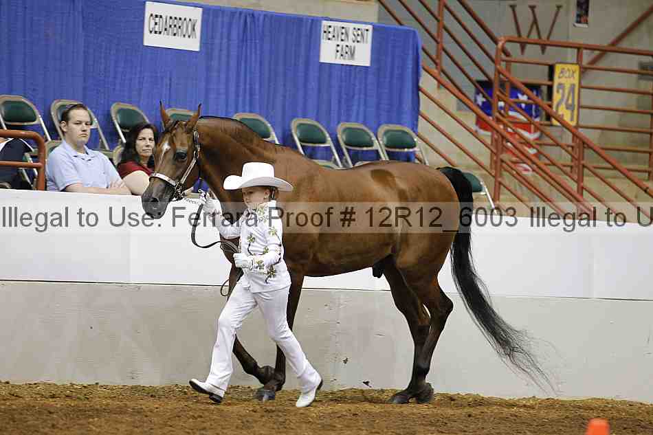 Proof Number 12r12_6003
