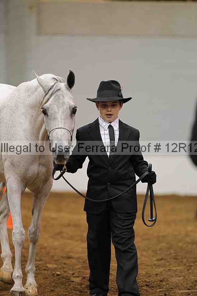 Proof Number 12r12_6007