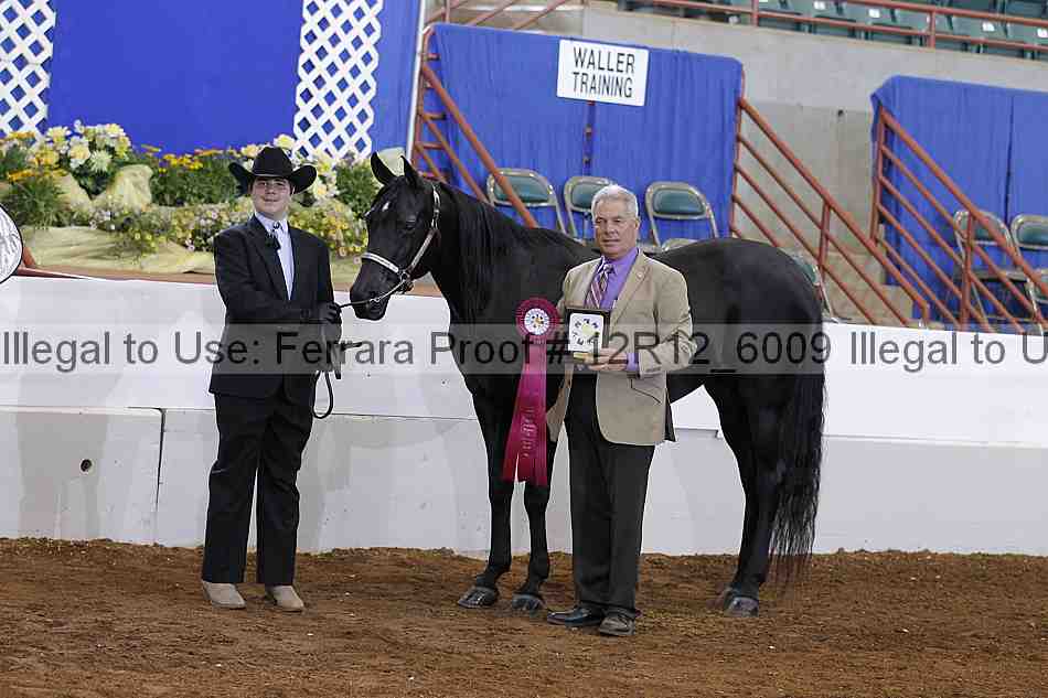 Proof Number 12r12_6009