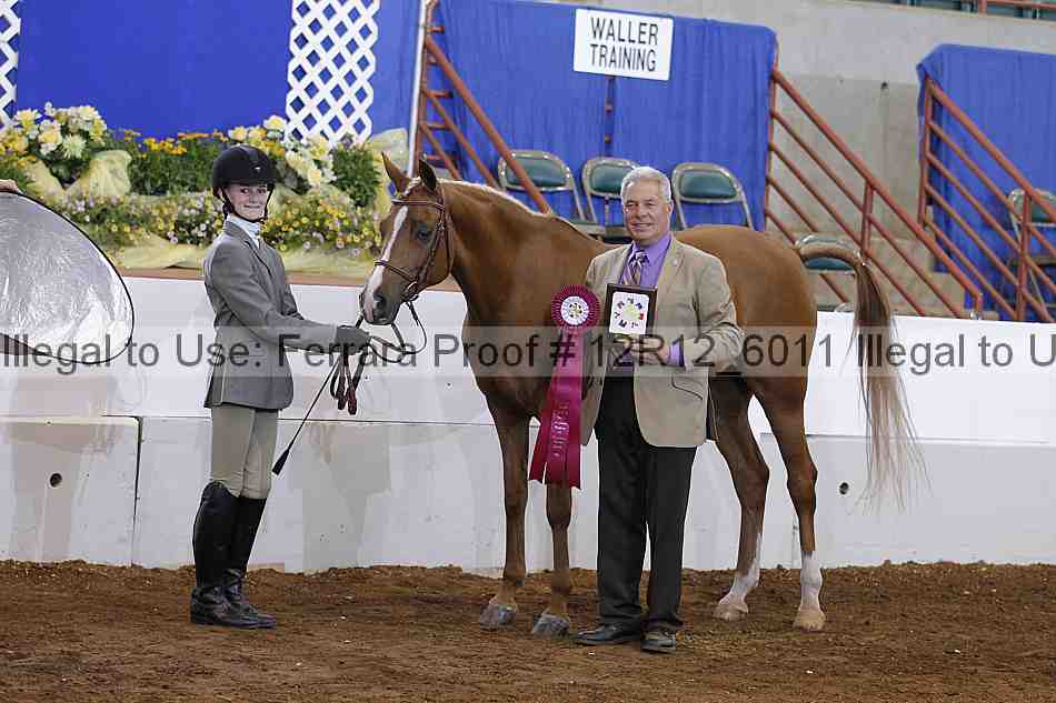 Proof Number 12r12_6011