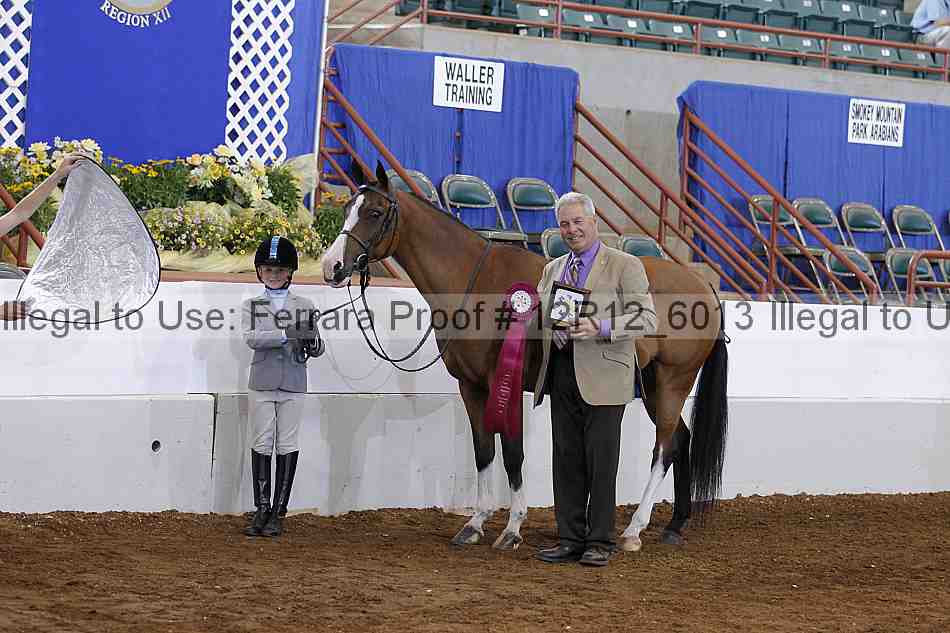 Proof Number 12r12_6013
