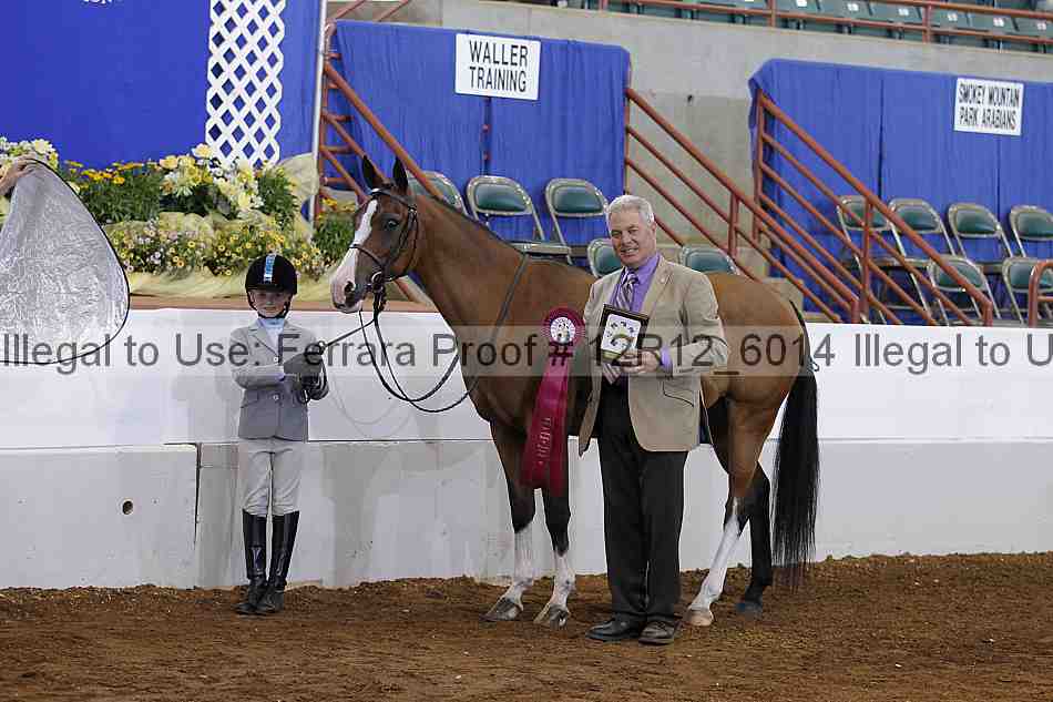 Proof Number 12r12_6014
