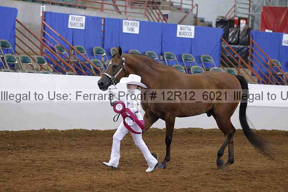 Proof Number 12r12_6021