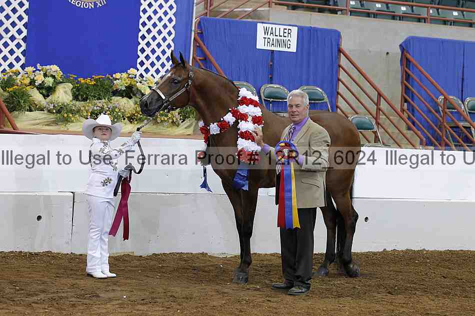Proof Number 12r12_6024