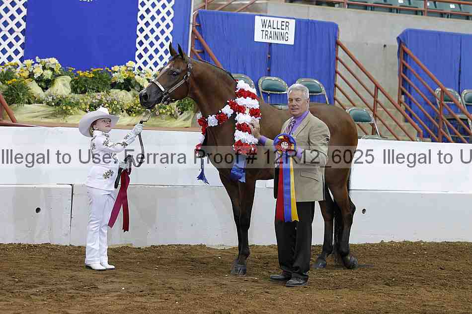 Proof Number 12r12_6025