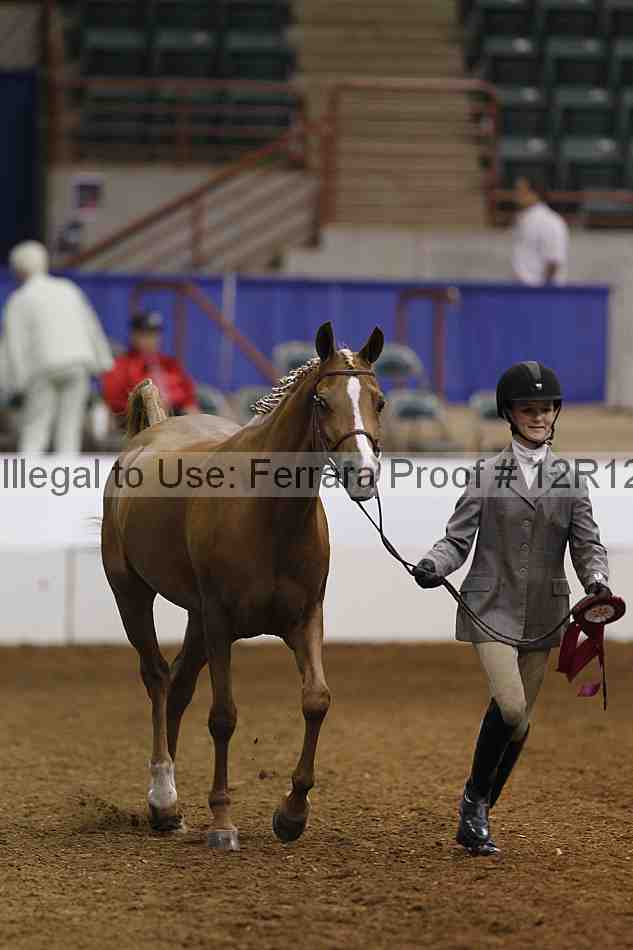 Proof Number 12r12_6026