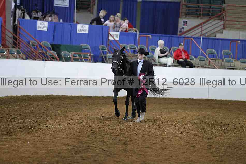 Proof Number 12r12_6028