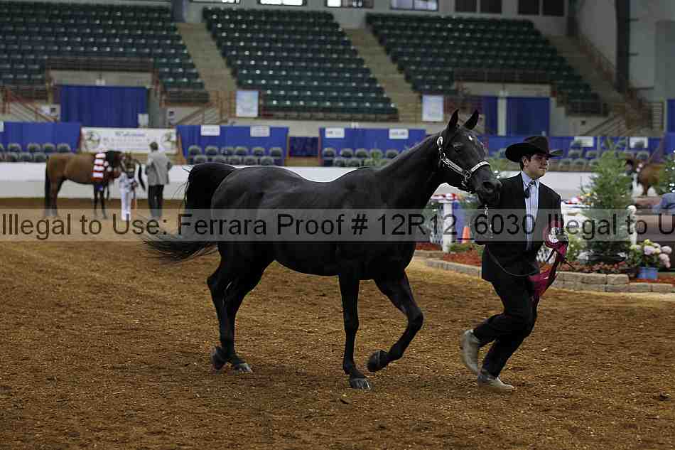 Proof Number 12r12_6030
