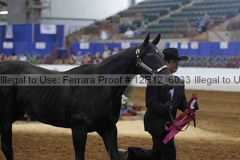 Proof Number 12r12_6033