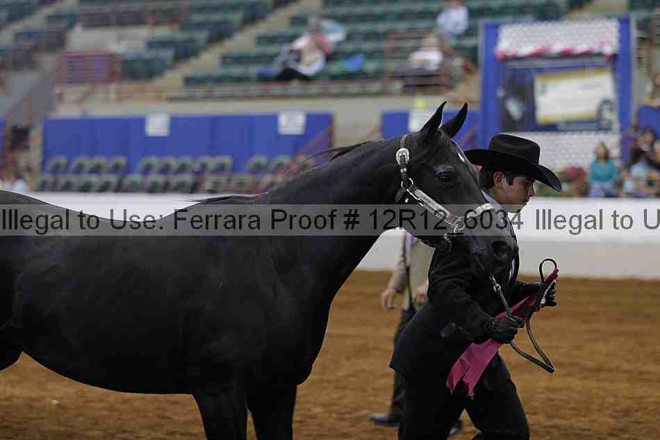 Proof Number 12r12_6034