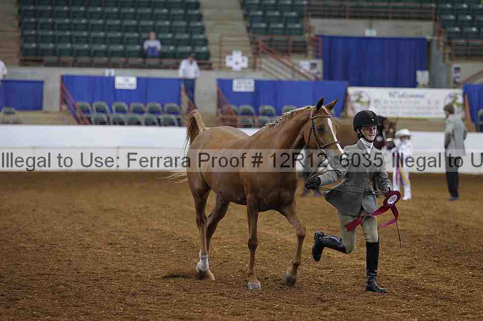 Proof Number 12r12_6035