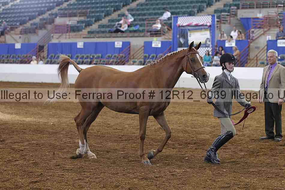 Proof Number 12r12_6039