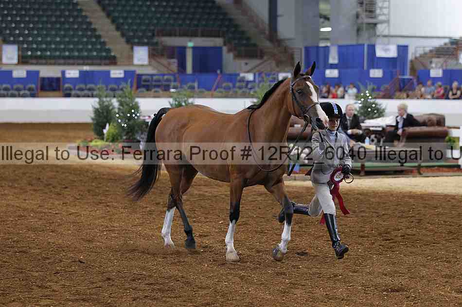 Proof Number 12r12_6040