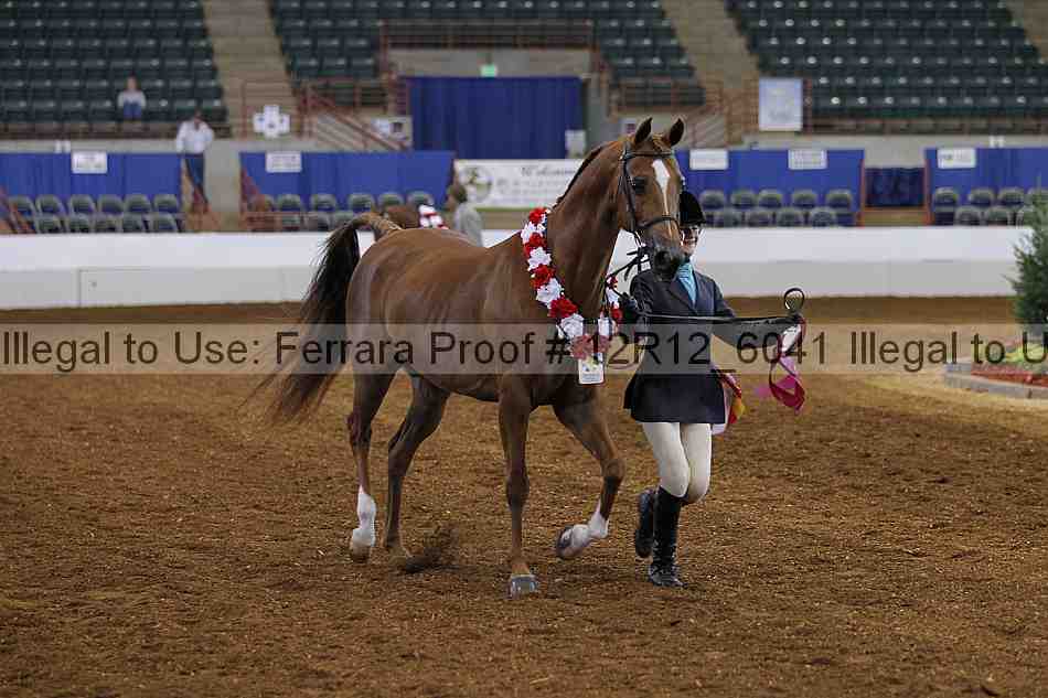 Proof Number 12r12_6041