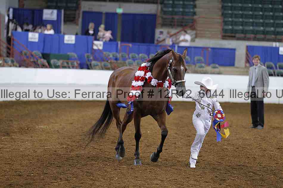 Proof Number 12r12_6044
