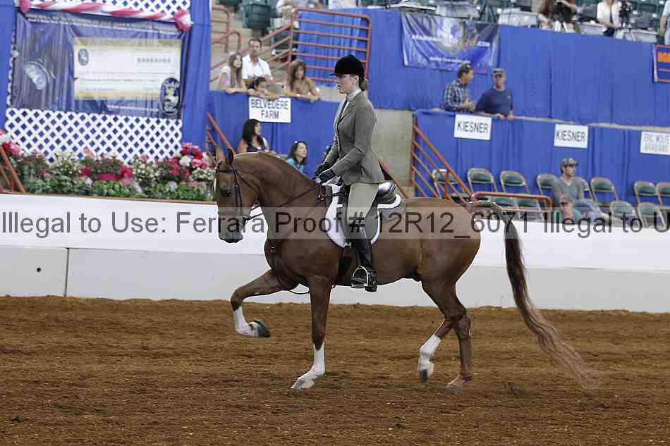 Proof Number 12r12_6071