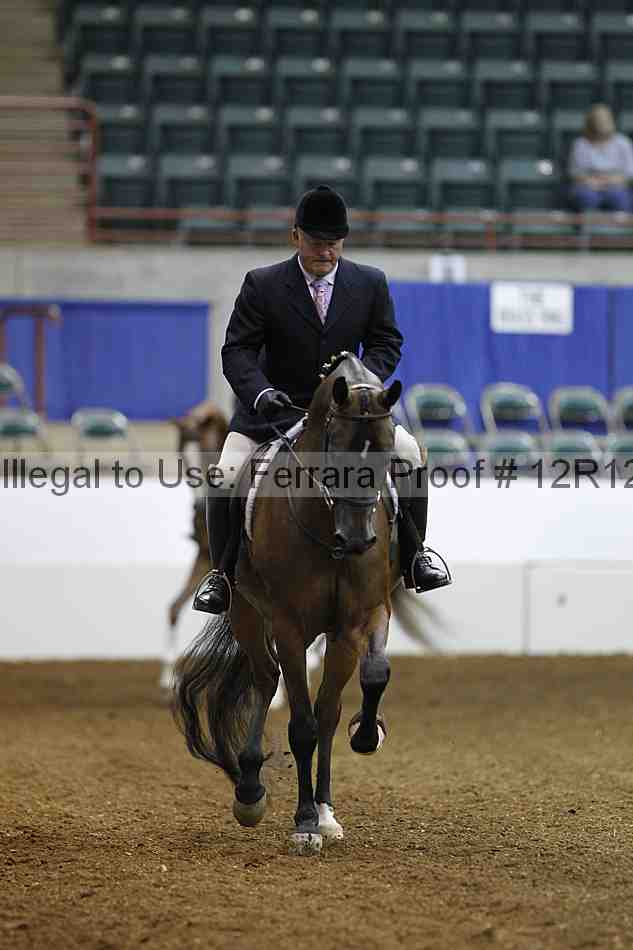 Proof Number 12r12_6072