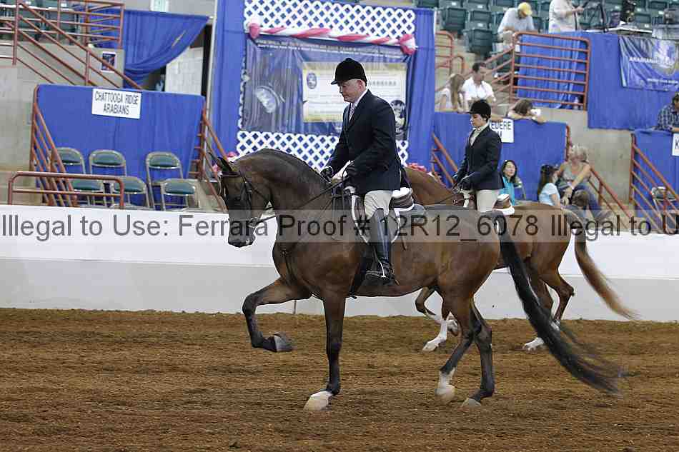Proof Number 12r12_6078
