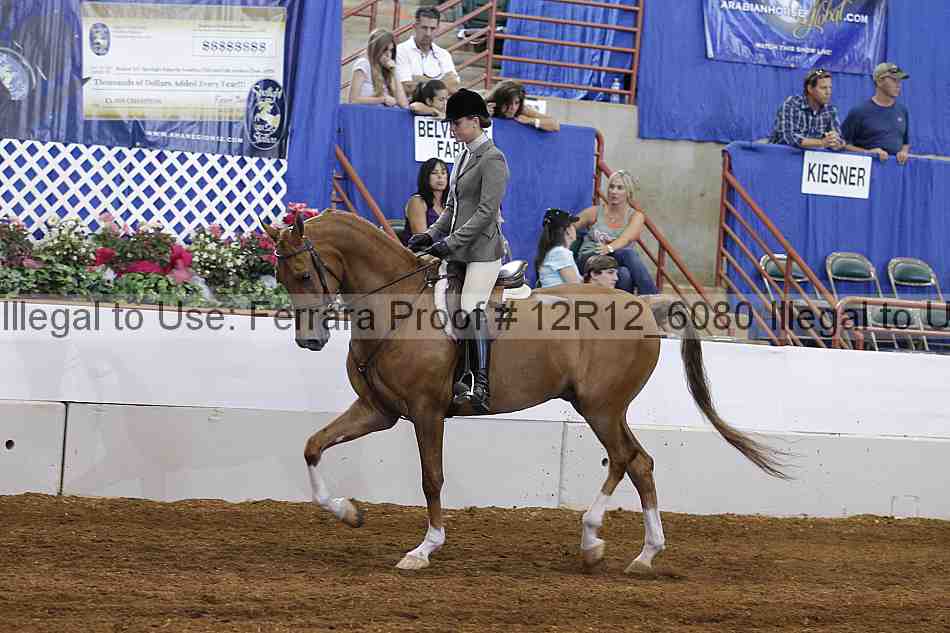 Proof Number 12r12_6080