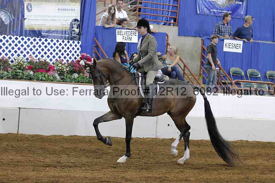 Proof Number 12r12_6082