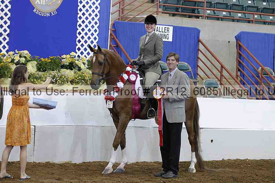 Proof Number 12r12_6085