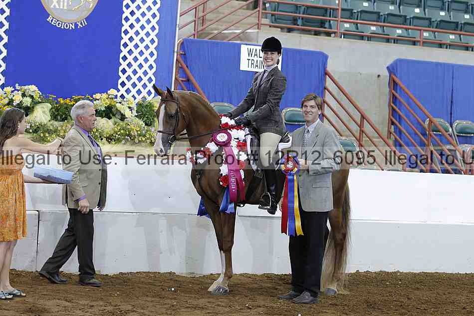Proof Number 12r12_6095