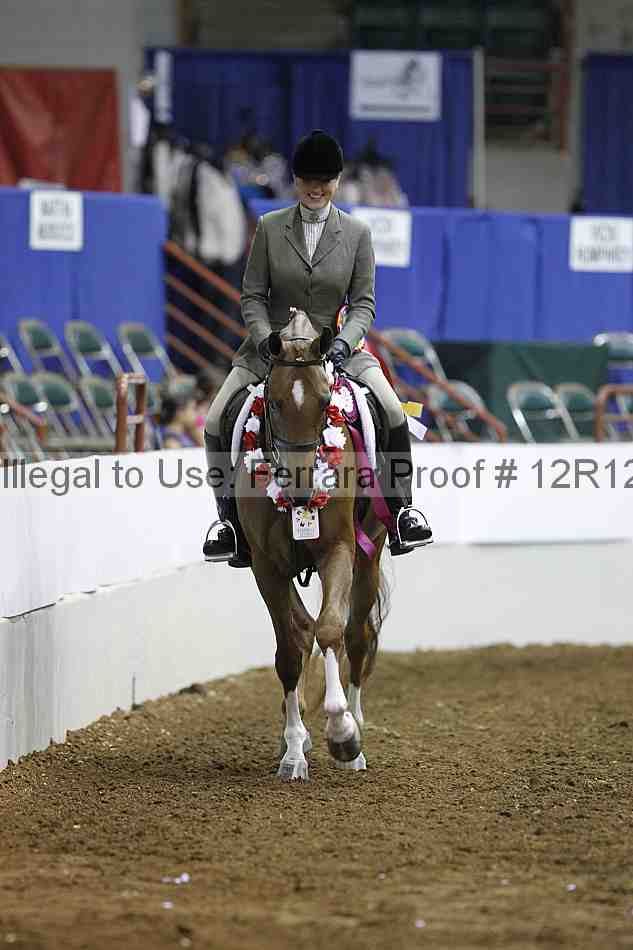 Proof Number 12r12_6102