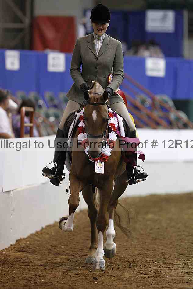 Proof Number 12r12_6104
