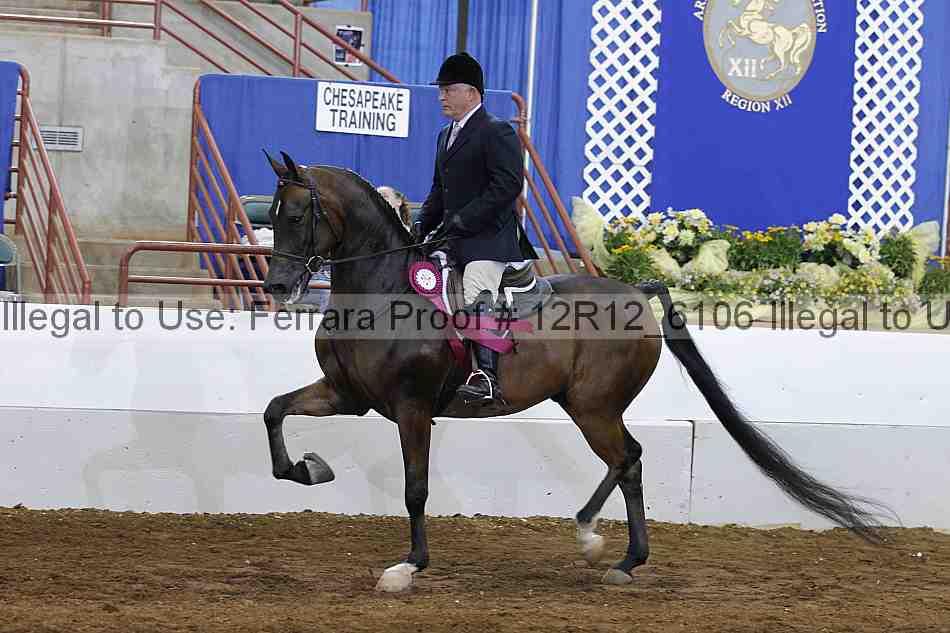 Proof Number 12r12_6106