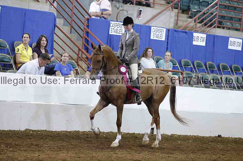 Proof Number 12r12_6107