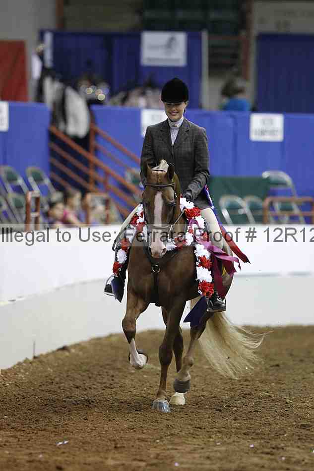 Proof Number 12r12_6109