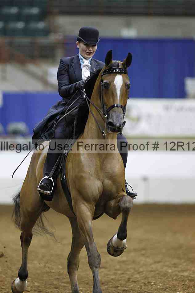 Proof Number 12r12_6127