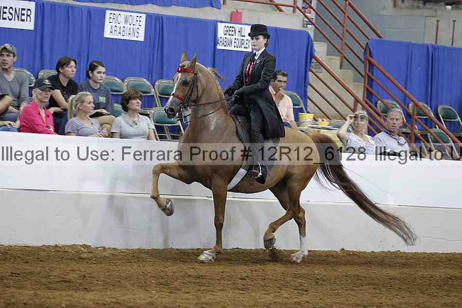 Proof Number 12r12_6128